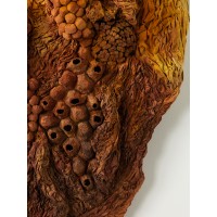 <a href=https://www.galeriegosserez.com/gosserez/artistes/l-c-lab.html> L&C Lab</a> - Biomater - Free Shape II